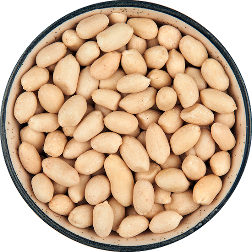 Koteshwar Agri Exports - Blanched Peanut