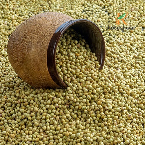 Koteshwar Agri Exports - Coriander Seed