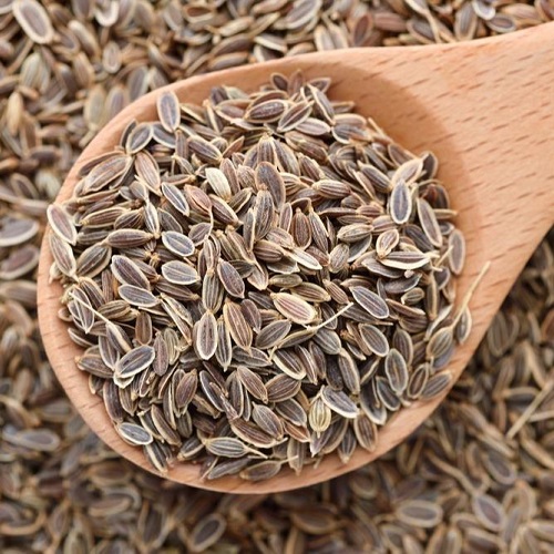 Koteshwar Agri Exports - Spices - Dill Seed