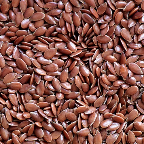 Koteshwar Agri Exports - Flax Seed