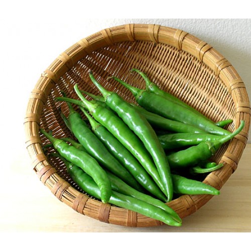 Koteshwar Agri Exports - Fruits and Vegetables - Green Chilli