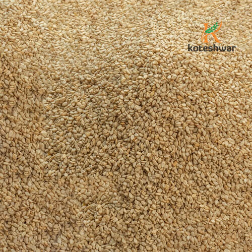 Koteshwar Agri Exports - Natural White Sesame Seed