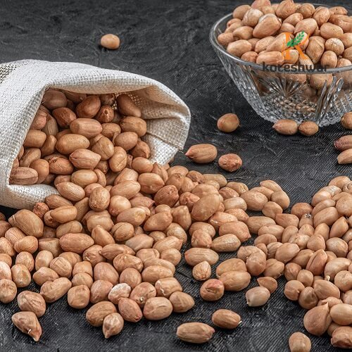 Koteshwar Agri Exports - Oil Seeds - Java Peanut