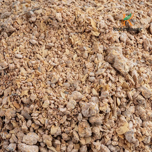 Koteshwar Agri Exports - Soybean Meal