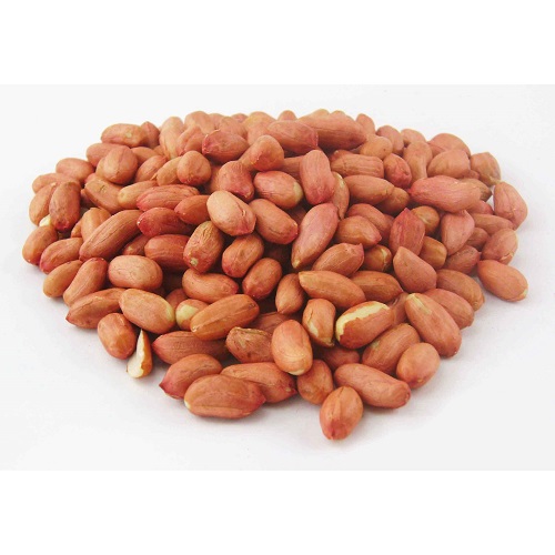 Koteshwar Agri Exports - Oil Seeds - TJ Peanut