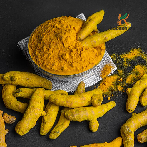 Koteshwar Agri Exports - Turmeric Finger